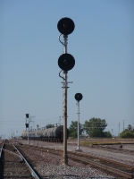 Searchlights Standing Tall